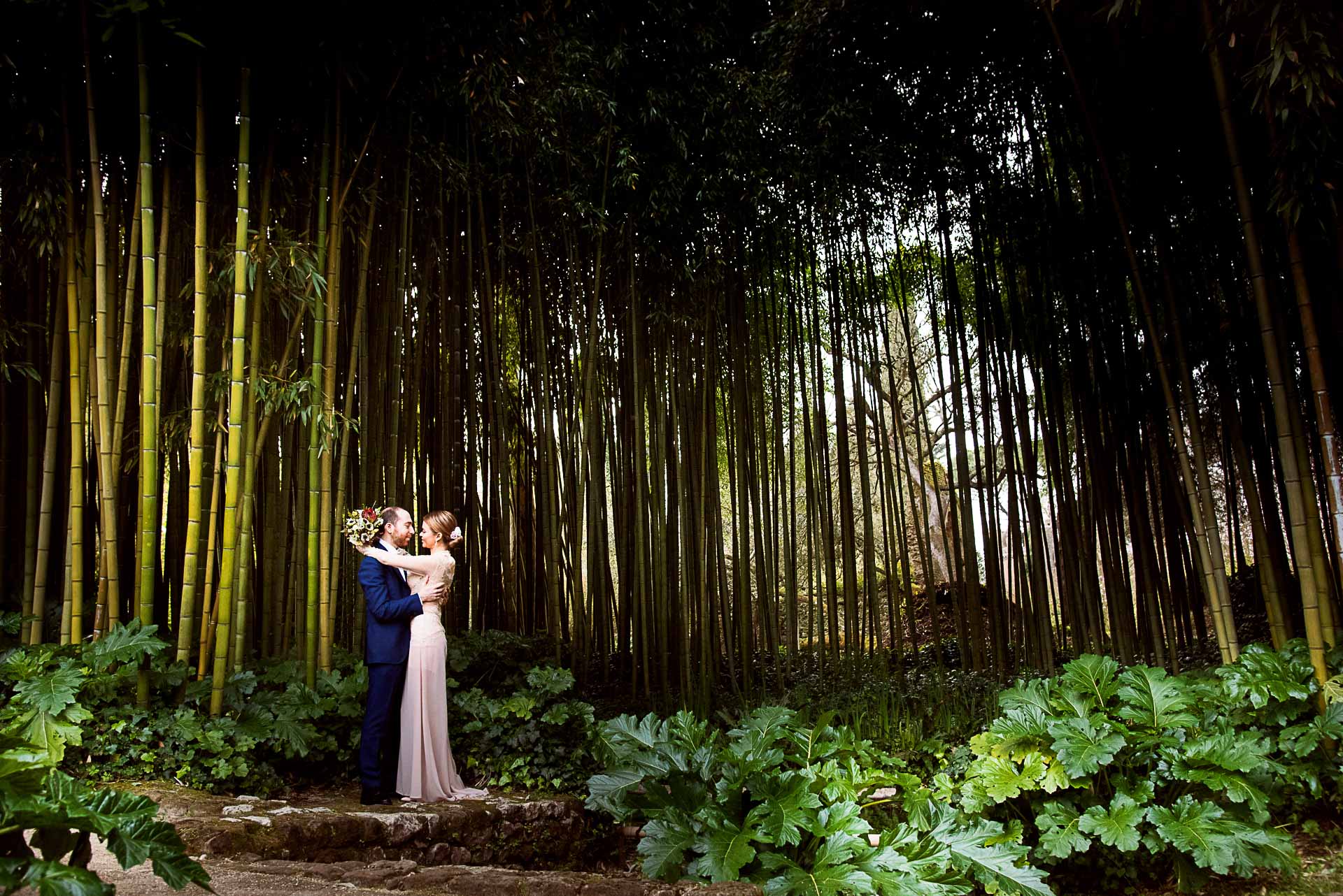 Wedding Photography Service